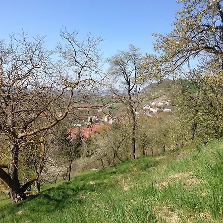 Alte Rose فندق Ebelsbach