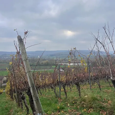 Alte Rose 酒店 Ebelsbach