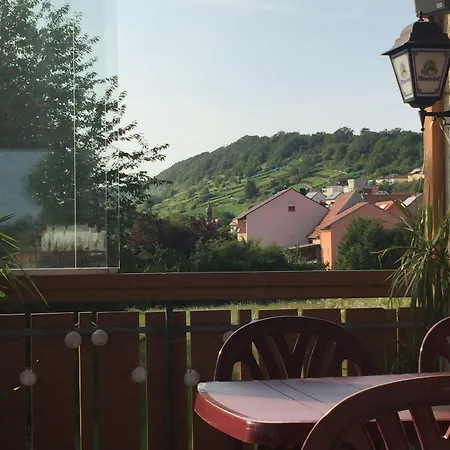 Alte Rose Hotel 3*