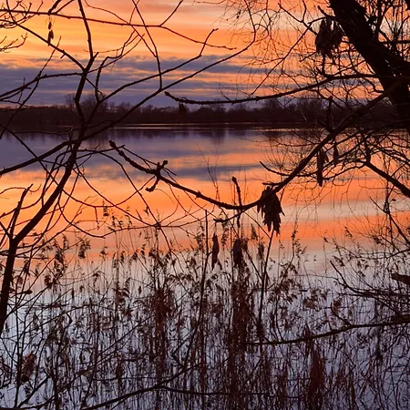 Alte Rose
