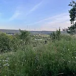 Alte Rose Ebelsbach