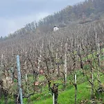 Alte Rose 3* Ebelsbach