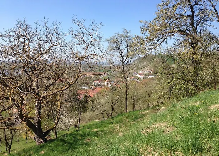 Alte Rose 호텔 Ebelsbach