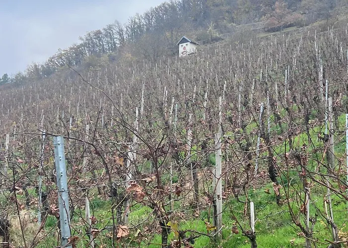 Alte Rose 3* Ebelsbach